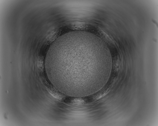 X0000096660749200802191306