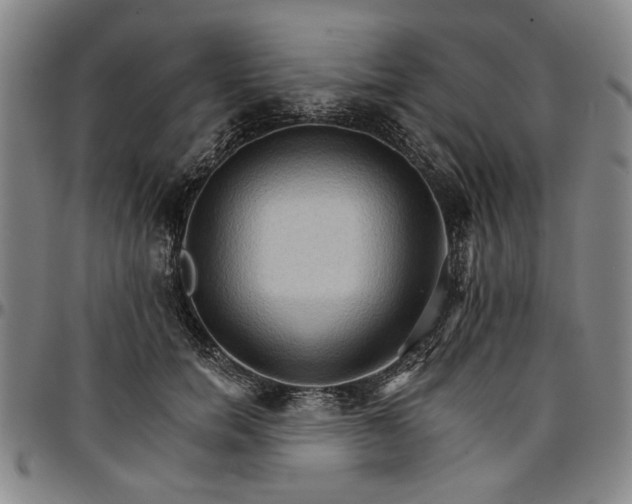 X0000096660750200802191306