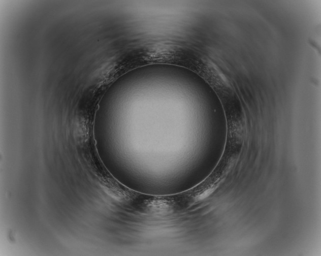 X0000096660751200802191306