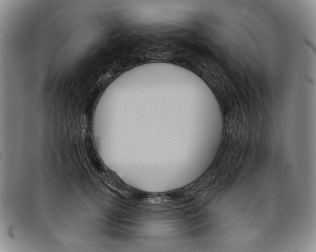 X0000096660752200802191306