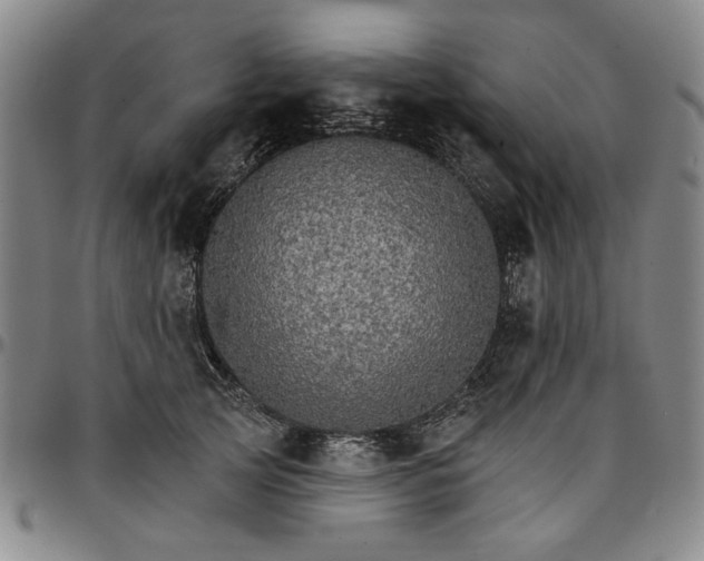 X0000096660753200802191306