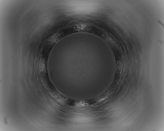 X0000096660754200802191306