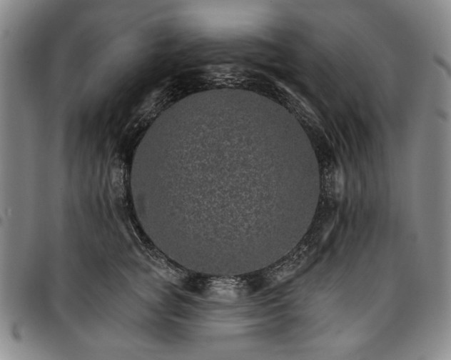 X0000096660757200802191306