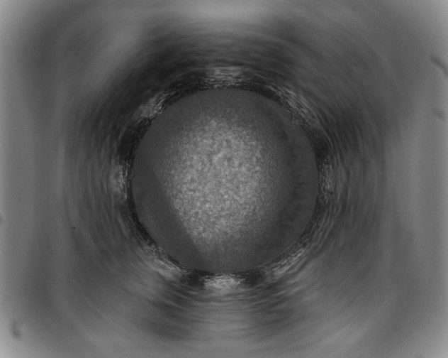 X0000096660759200802191306