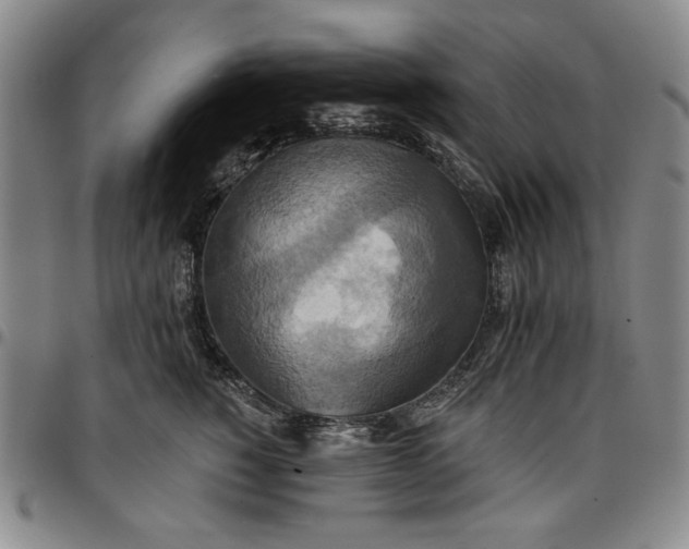 X0000096660760200802191306