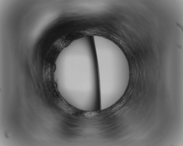 X0000096660762200802191306