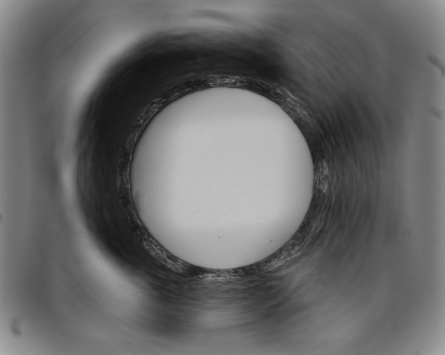 X0000096660763200802191306