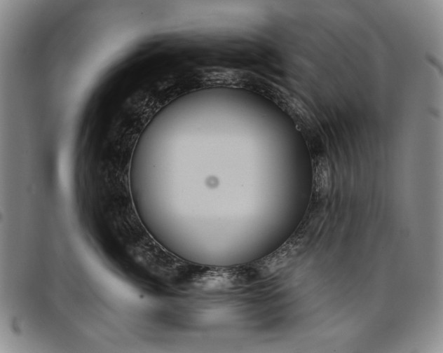 X0000096660764200802191306