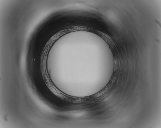 X0000096660765200802191306