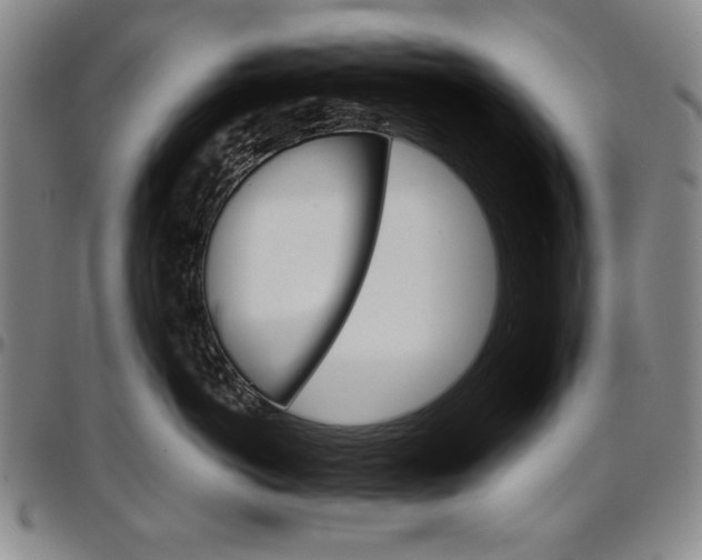 X0000096660766200802191306