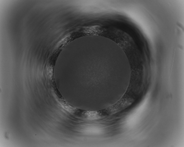 X0000096660767200802191306