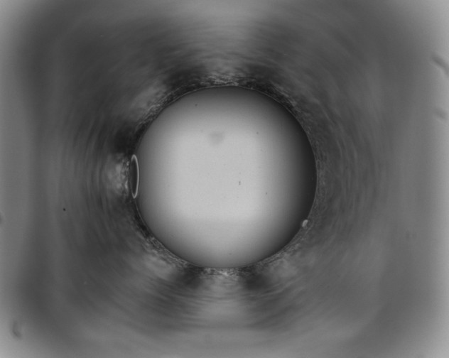 X0000096660768200802191306