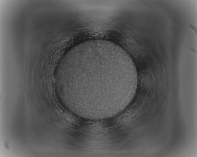 X0000096660769200802191306