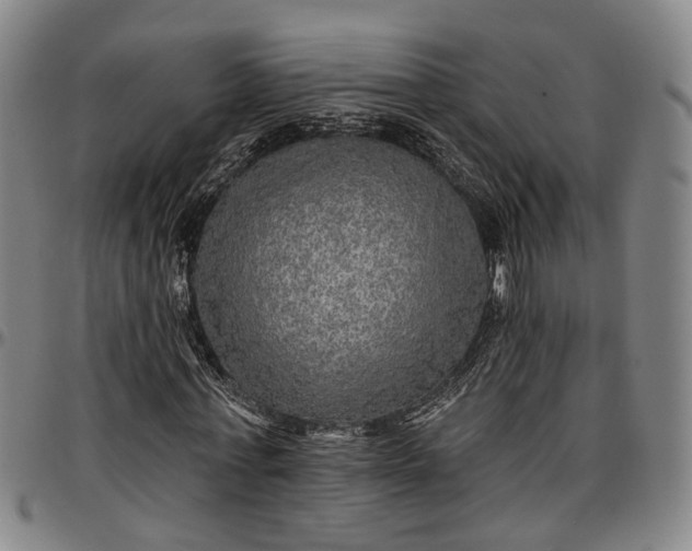 X0000096660771200802191306