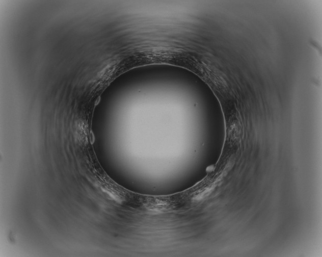 X0000096660772200802191306