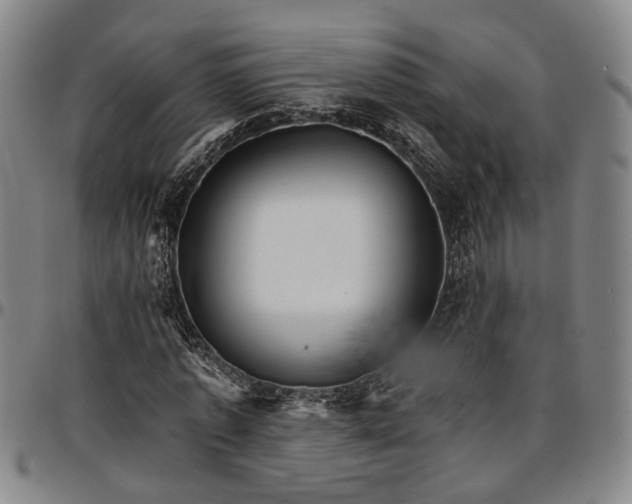 X0000096660773200802191306