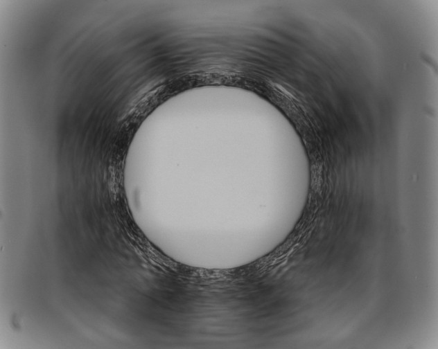 X0000096660774200802191306