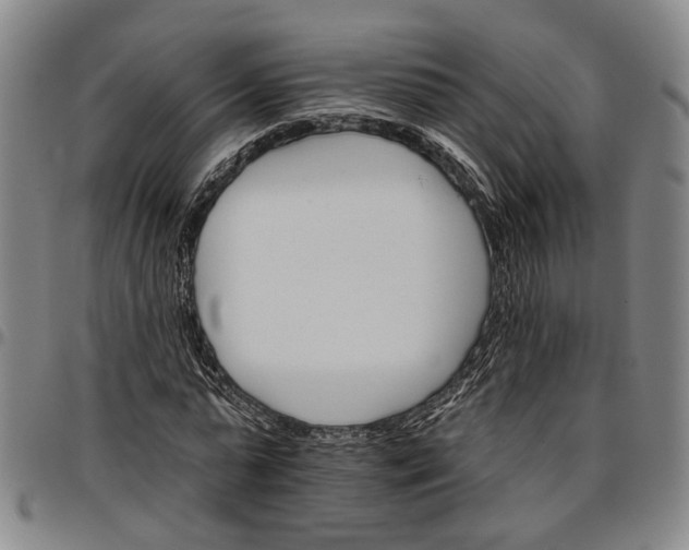 X0000096660775200802191306