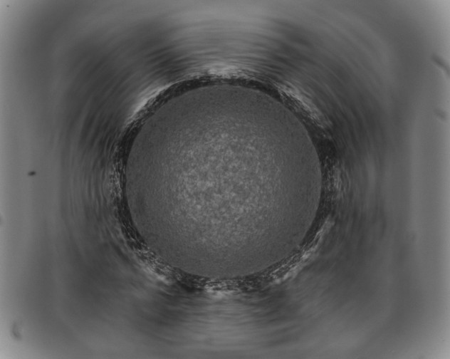 X0000096660776200802191306