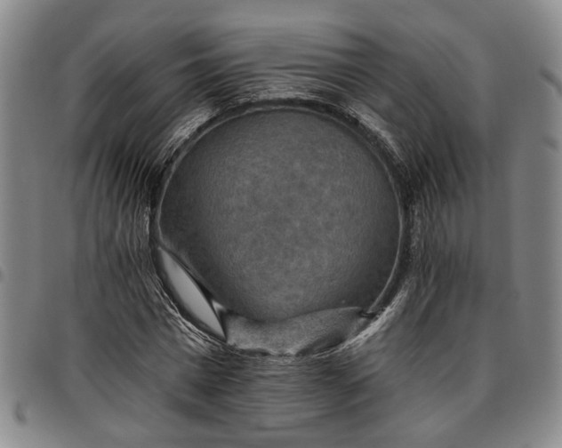 X0000096660777200802191306