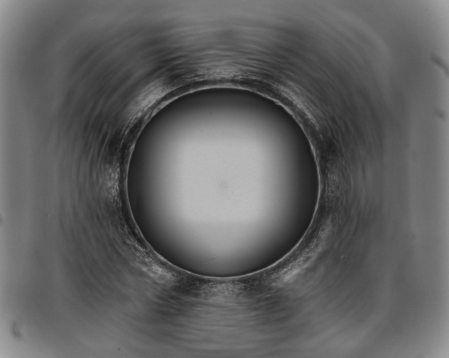 X0000096660778200802191306