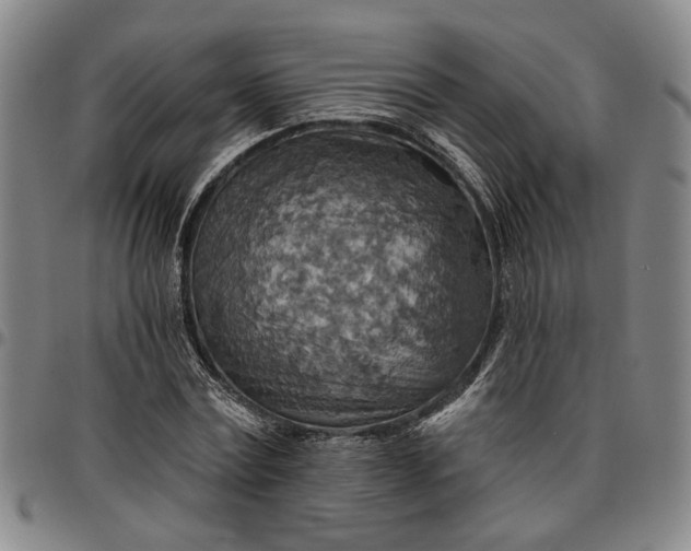 X0000096660779200802191306