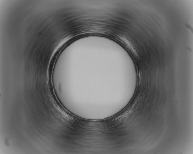 X0000096660780200802191306