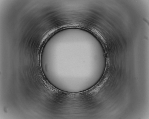 X0000096660781200802191306