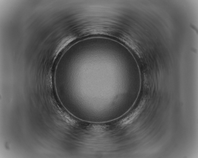 X0000096660782200802191306