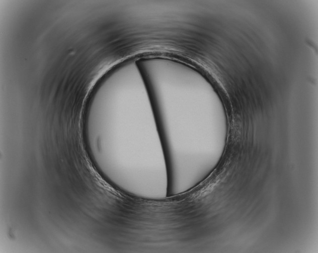 X0000096660783200802191306