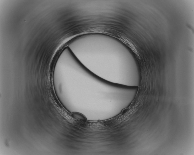 X0000096660784200802191306