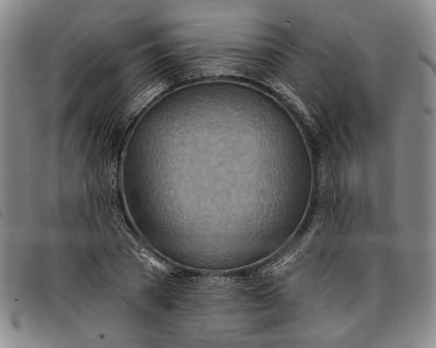 X0000096660785200802191306