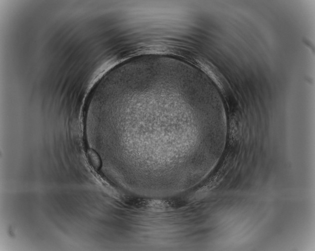 X0000096660787200802191305