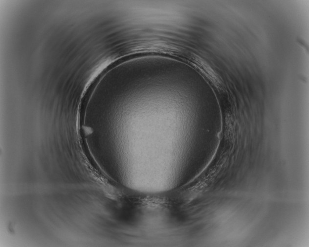 X0000096660788200802191305