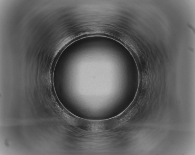 X0000096660789200802191305