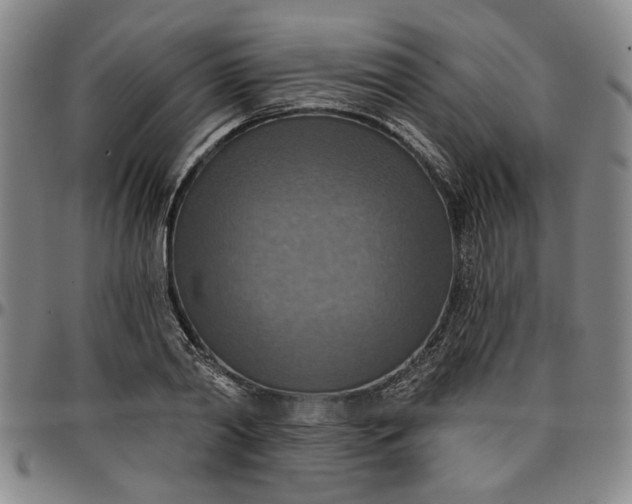 X0000096660790200802191305