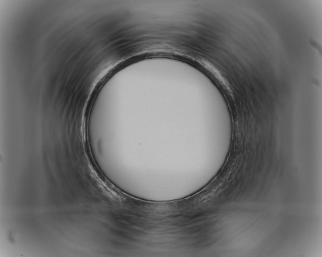 X0000096660791200802191305