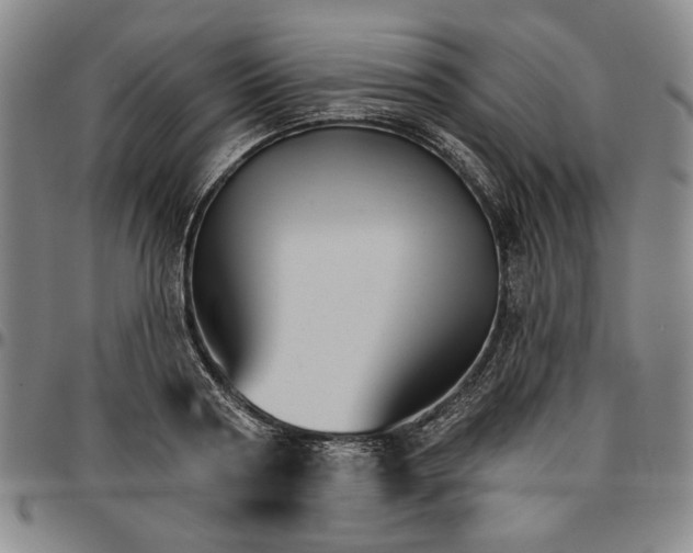 X0000096660794200802191305