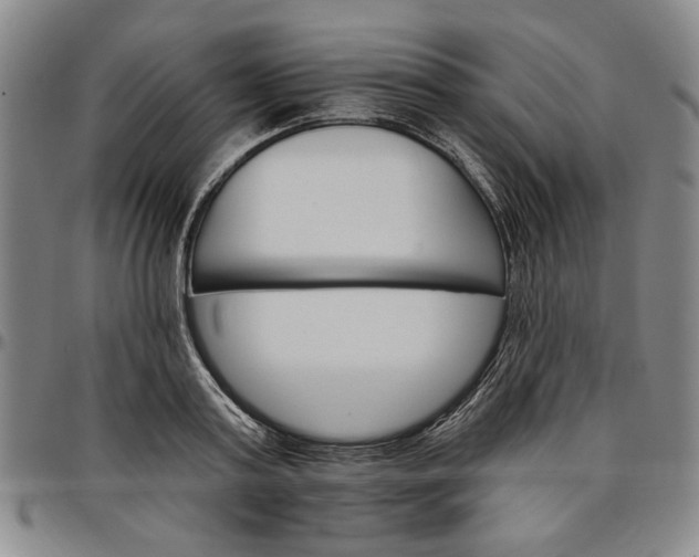 X0000096660795200802191305