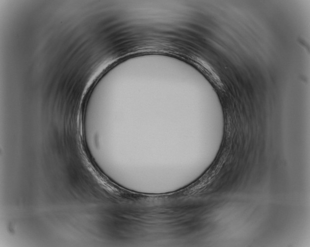 X0000096660796200802191305