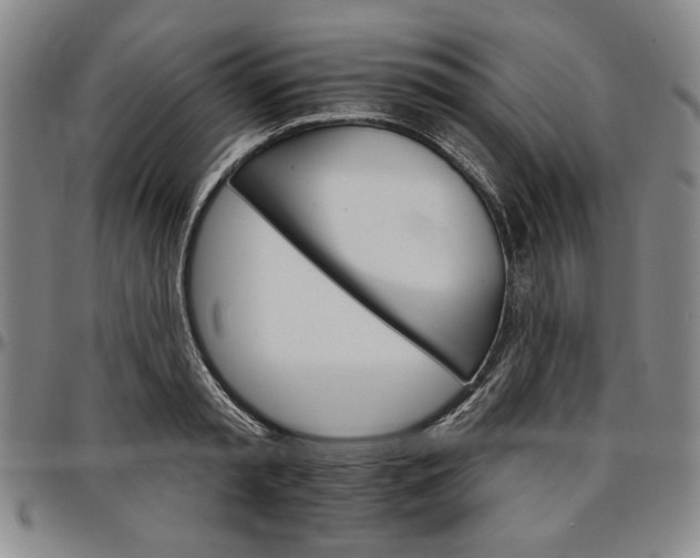 X0000096660797200802191305