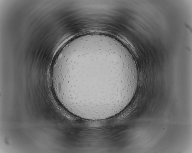 X0000096660798200802191305