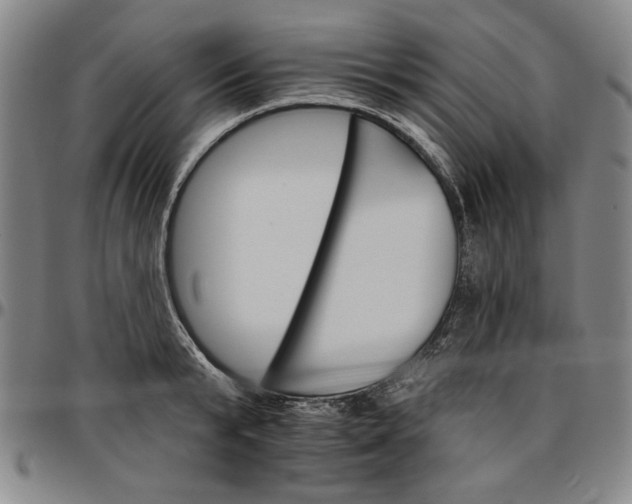 X0000096660799200802191305