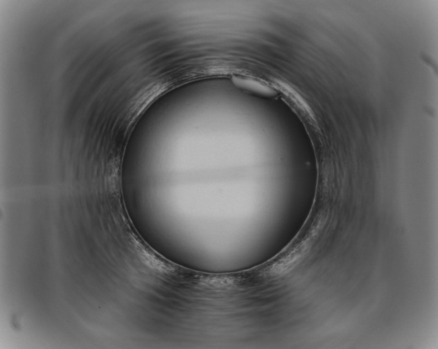 X0000096660801200802191305