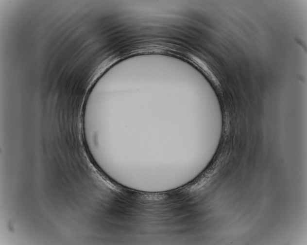 X0000096660802200802191305