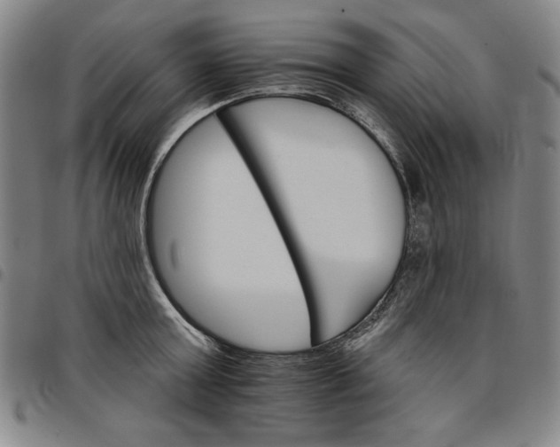 X0000096660803200802191305