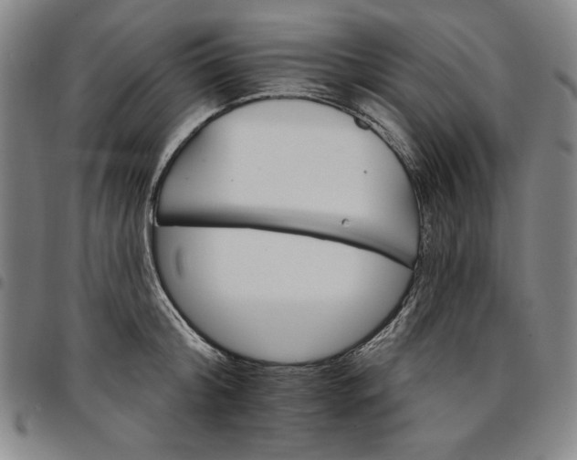 X0000096660804200802191305