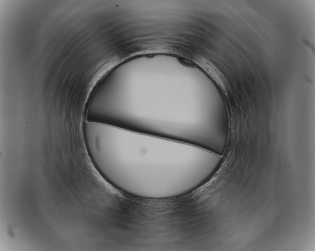 X0000096660805200802191305