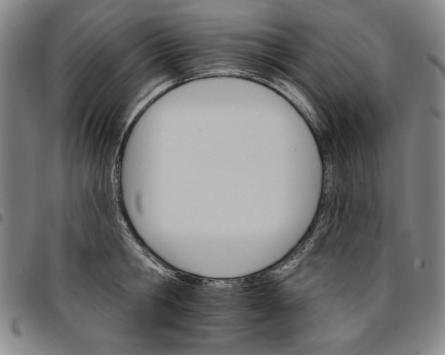 X0000096660806200802191305