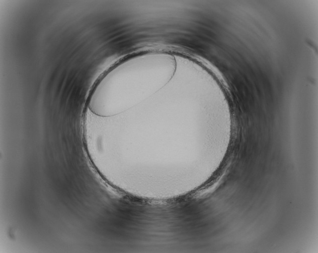 X0000096660807200802191305